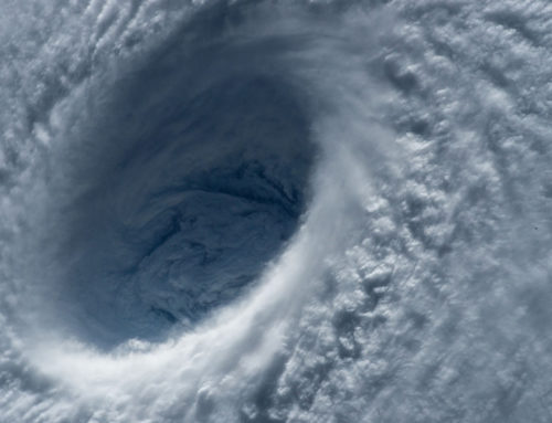 Hurricane Resource | Have a loss? Where do you start?